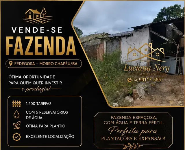 Fazenda em Fedegosa, Morro do Chapéu — 1.200 tarefas — foto 1